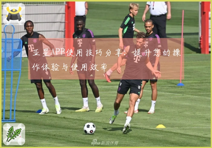 亚星APP使用技巧分享：提升您的操作体验与使用效率