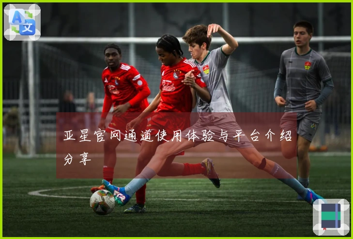 亚星官网通道使用体验与平台介绍分享